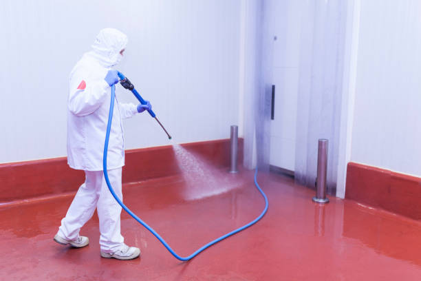 Best Warehouse Cleaning  in Pelion, SC