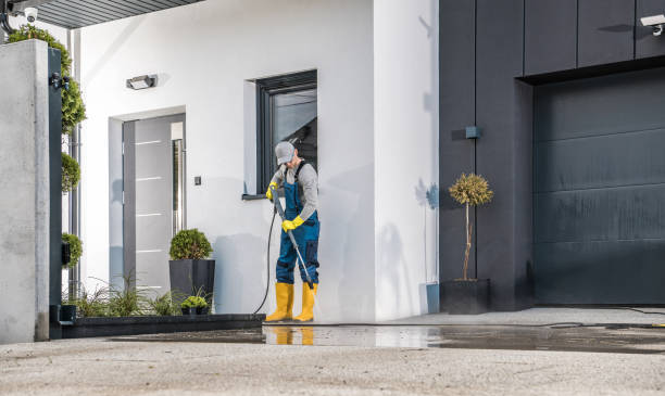 Best Driveway Pressure Washing  in Pelion, SC